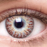 Chic Brown contact lenses