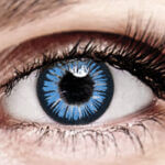Bella Blue Plus Color Contact Lenses Bella Blue Plus Color Contact Lenses