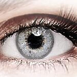 Bella Misty Gray Bella Misty Gray