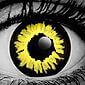 WickedEyez Black Wolf