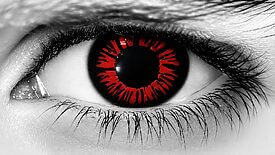 Red Twilight (New Moon)