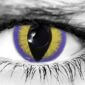 Seducer Purple Halloween Contact Lenses
