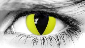 Yellow Cat Halloween Contacts