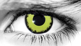 Louis Halloween Contacts