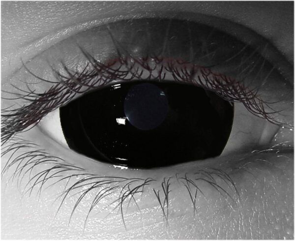 Possessed Sclera Contact Lenses