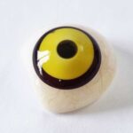 Crow – Hand Painted Contact Lenses